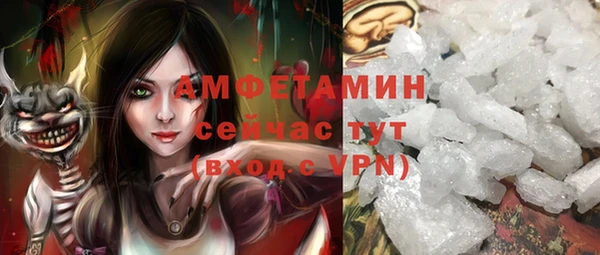 индика Алзамай