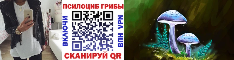 Псилоцибиновые грибы Psilocybine cubensis  Дно 